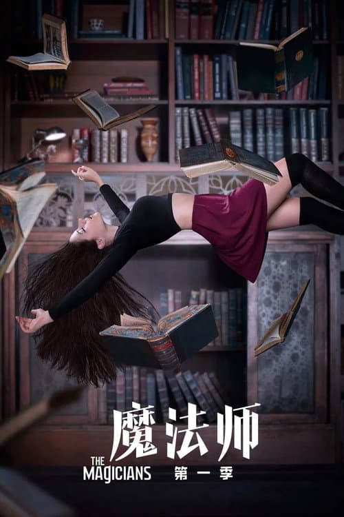 第 1 季海报
