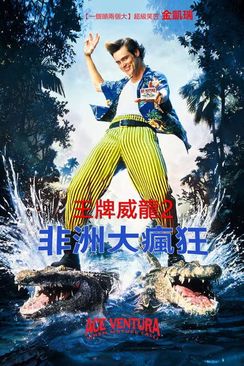 神探飞机头2
