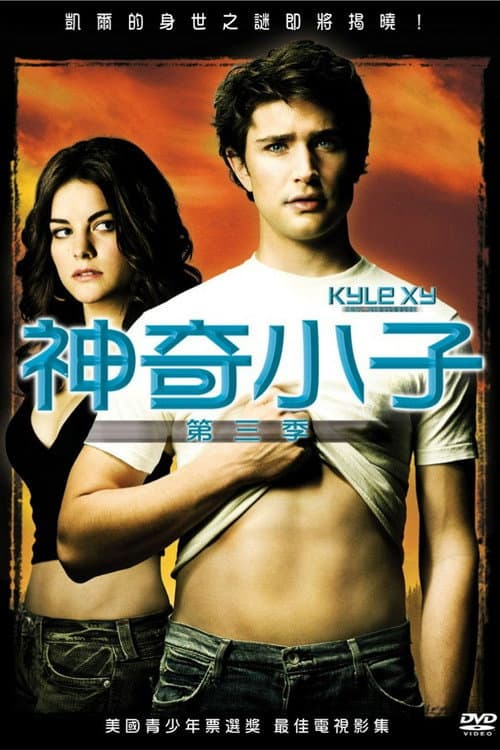 第 3 季海报