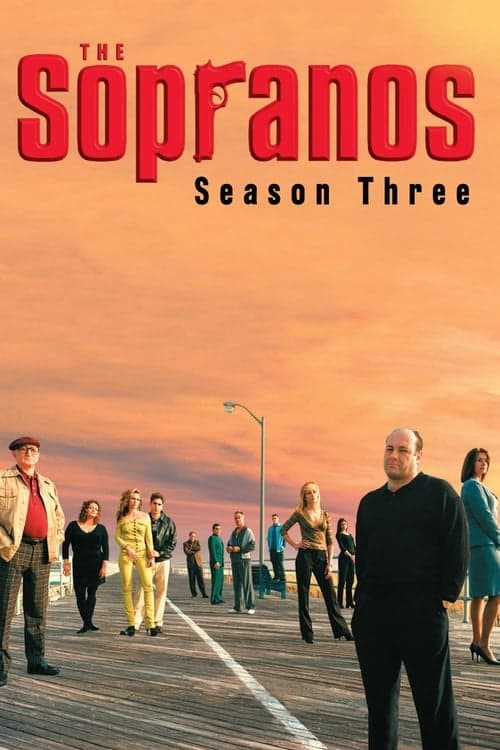 第 3 季海报