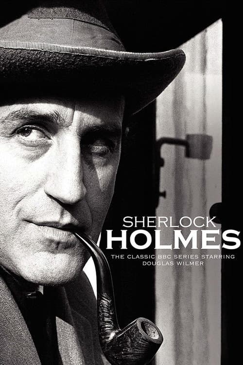 第 1 季海报
