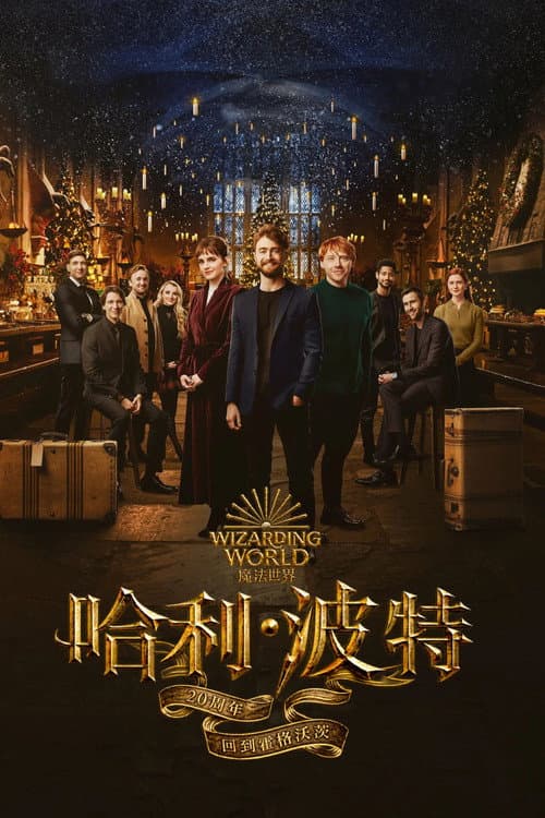 哈利·波特20周年:回到霍格沃茨